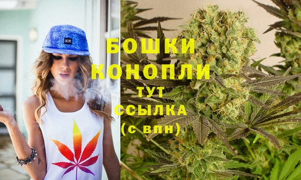 бошки Белокуриха