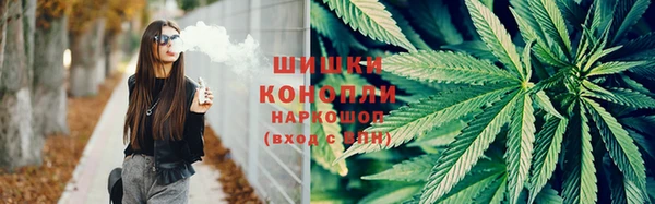 ECSTASY Богородск